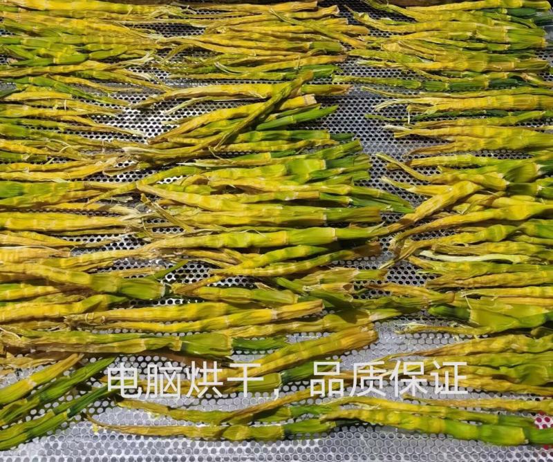 通用型电烘干机，一键启动，自动恒温烘干机