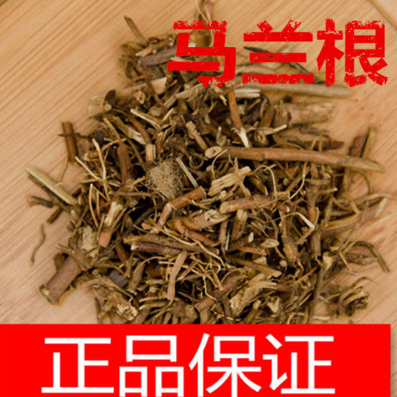 马兰根马兰根中药材马兰草根马兰草路边菊蟛蜞鱼鳅