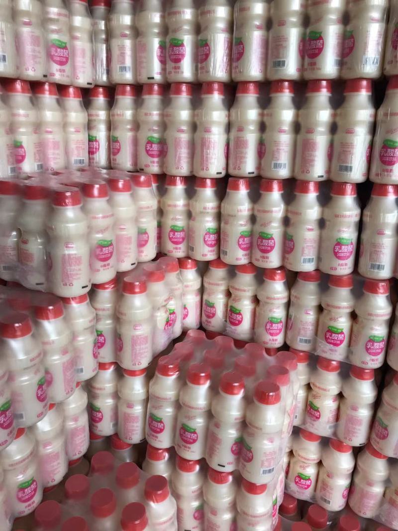 乳酸菌仓库大量现货