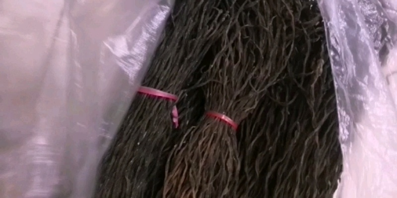 精品干豆角，亳州，特产，脱水干菜，代加工各种各样的规格。