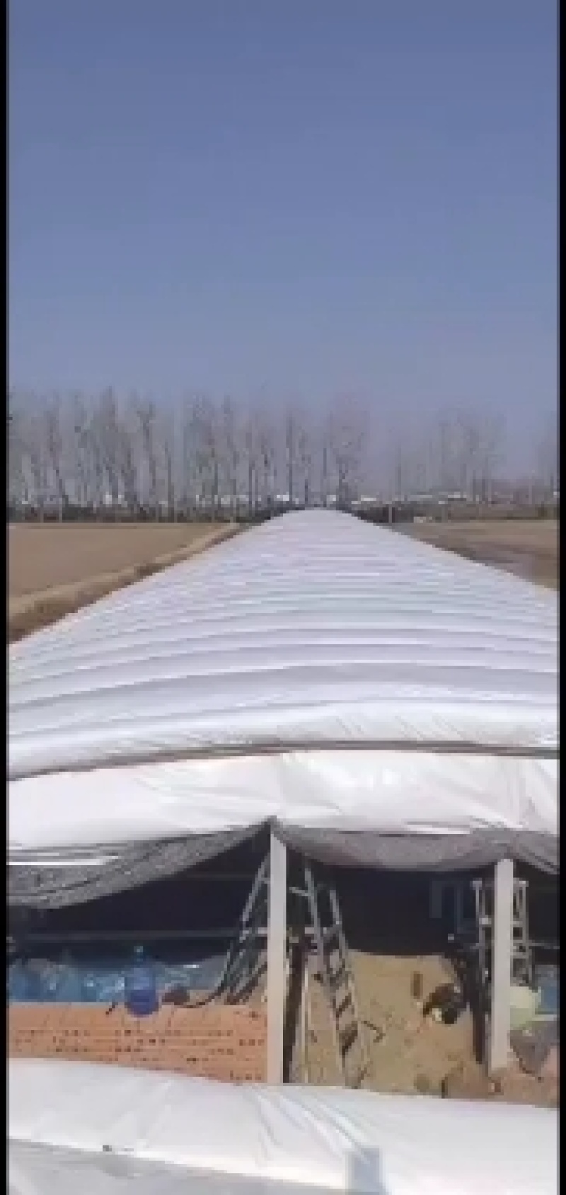 全国各地搭建鸡鸭鹅养殖大棚欢迎各位朋友致电咨询