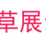 花菱草种子多年生草本植物耐寒力强庭院阳台绿化四季易播