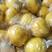 湖南省怀化市精品黄金贡柚可提供市场电商平台对接