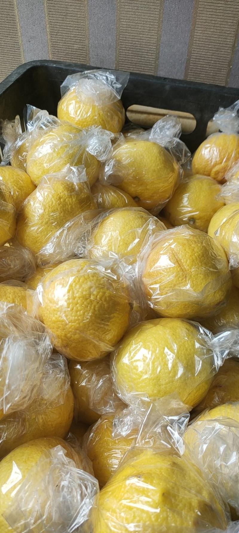湖南省怀化市精品黄金贡柚可提供市场电商平台对接