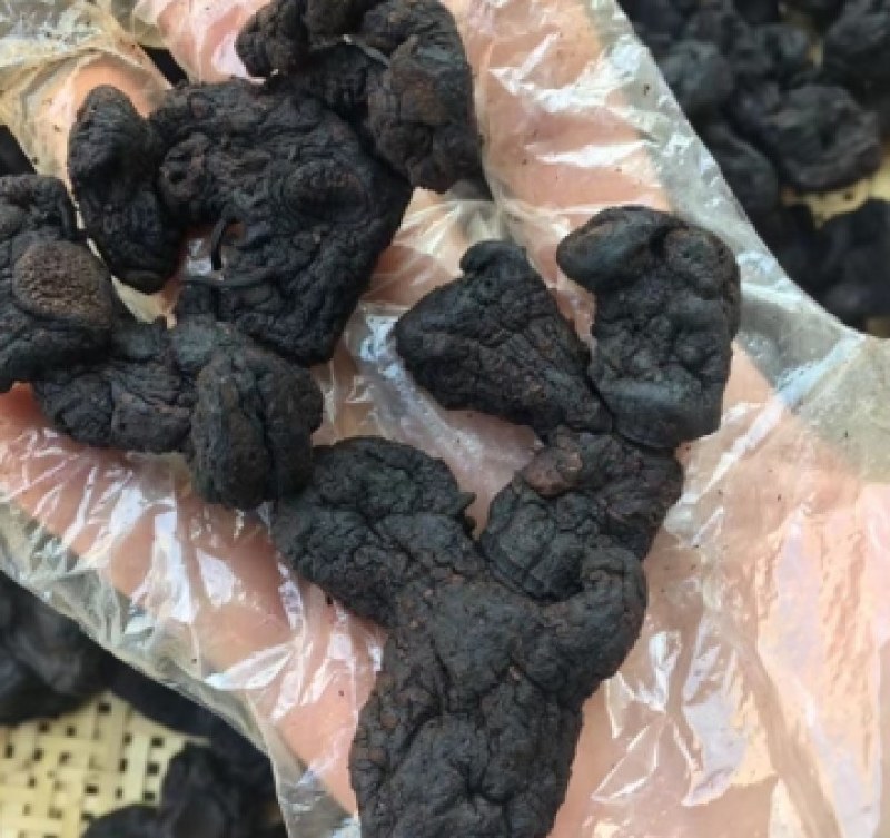 九蒸九晒黄精整个制黄精熟黄精大量供货各同可发