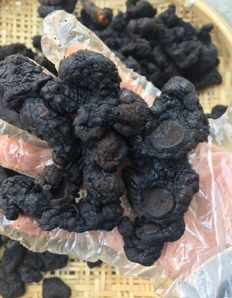 九蒸九晒黄精整个制黄精熟黄精大量供货各同可发