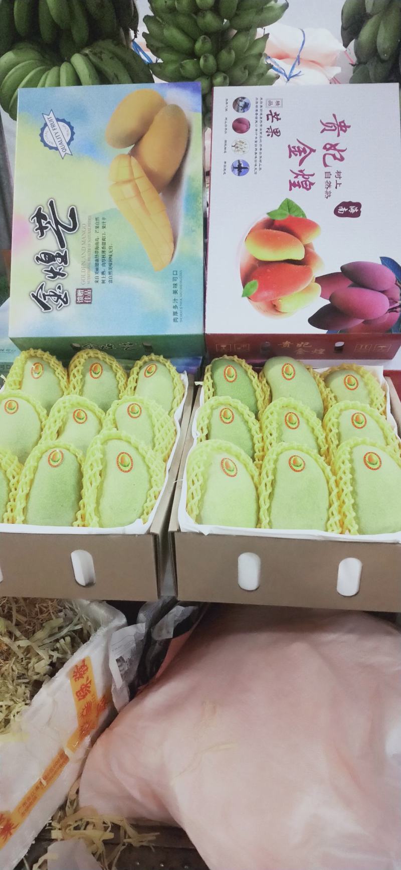 海南精品金煌芒一件代发7到9个果一箱8斤净果随机选