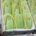 海南精品金煌芒一件代发7到9个果一箱8斤净果随机选