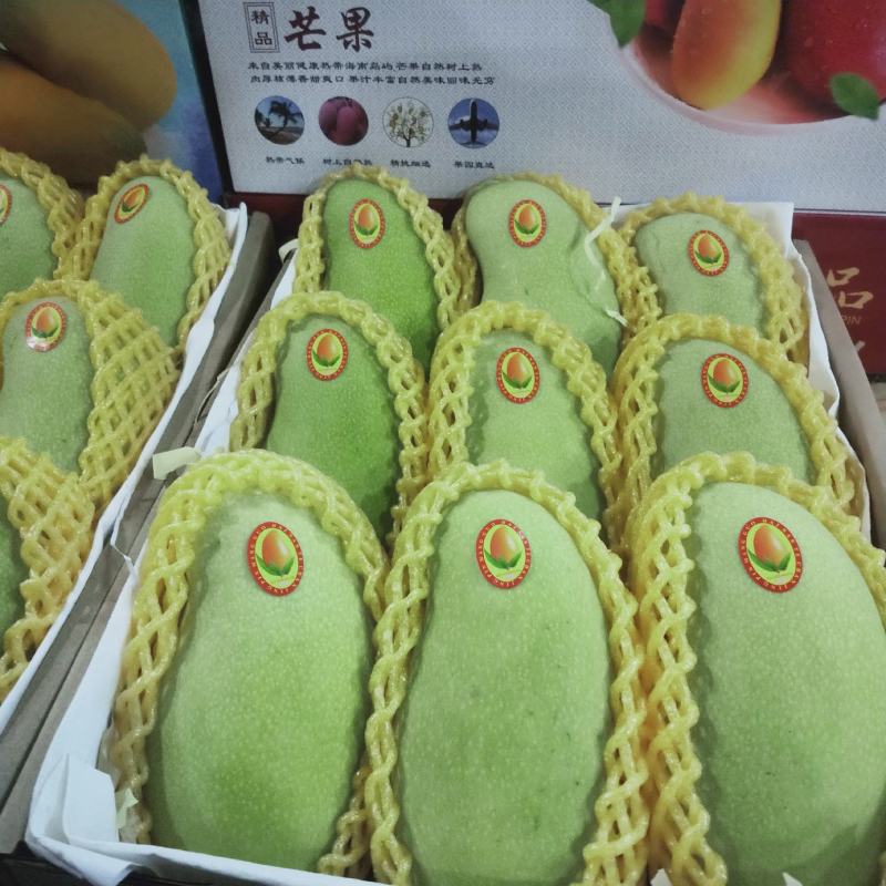 海南精品金煌芒一件代发7到9个果一箱8斤净果随机选