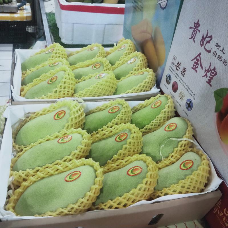 海南精品金煌芒一件代发7到9个果一箱8斤净果随机选