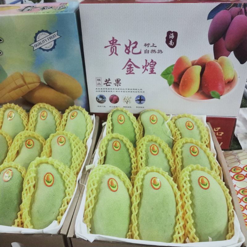 海南精品金煌芒一件代发7到9个果一箱8斤净果随机选