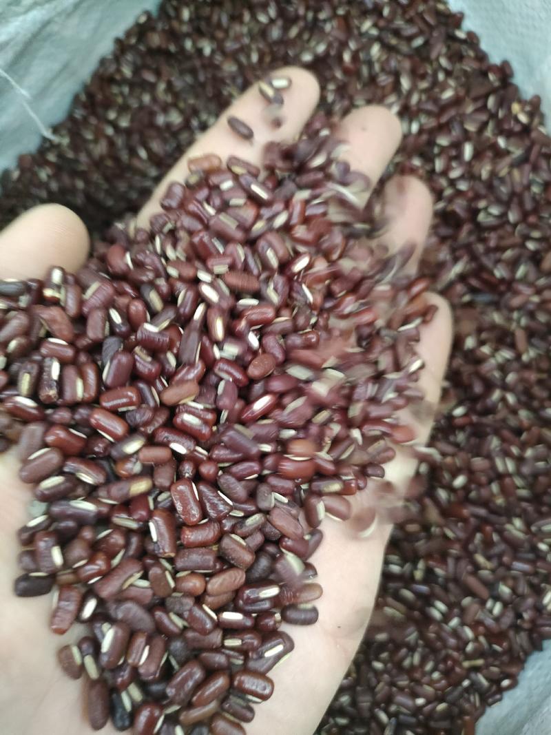 赤小豆，粒粒饱满足斤足量无硫，无添加。