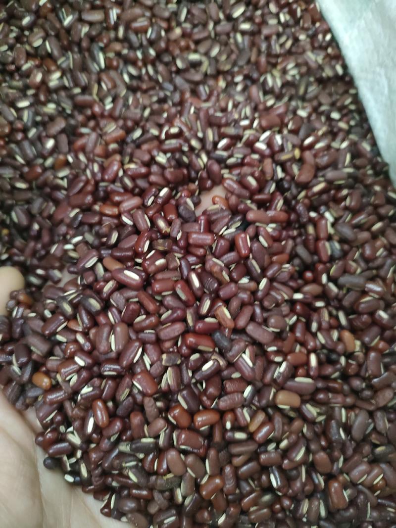 赤小豆，粒粒饱满足斤足量无硫，无添加。