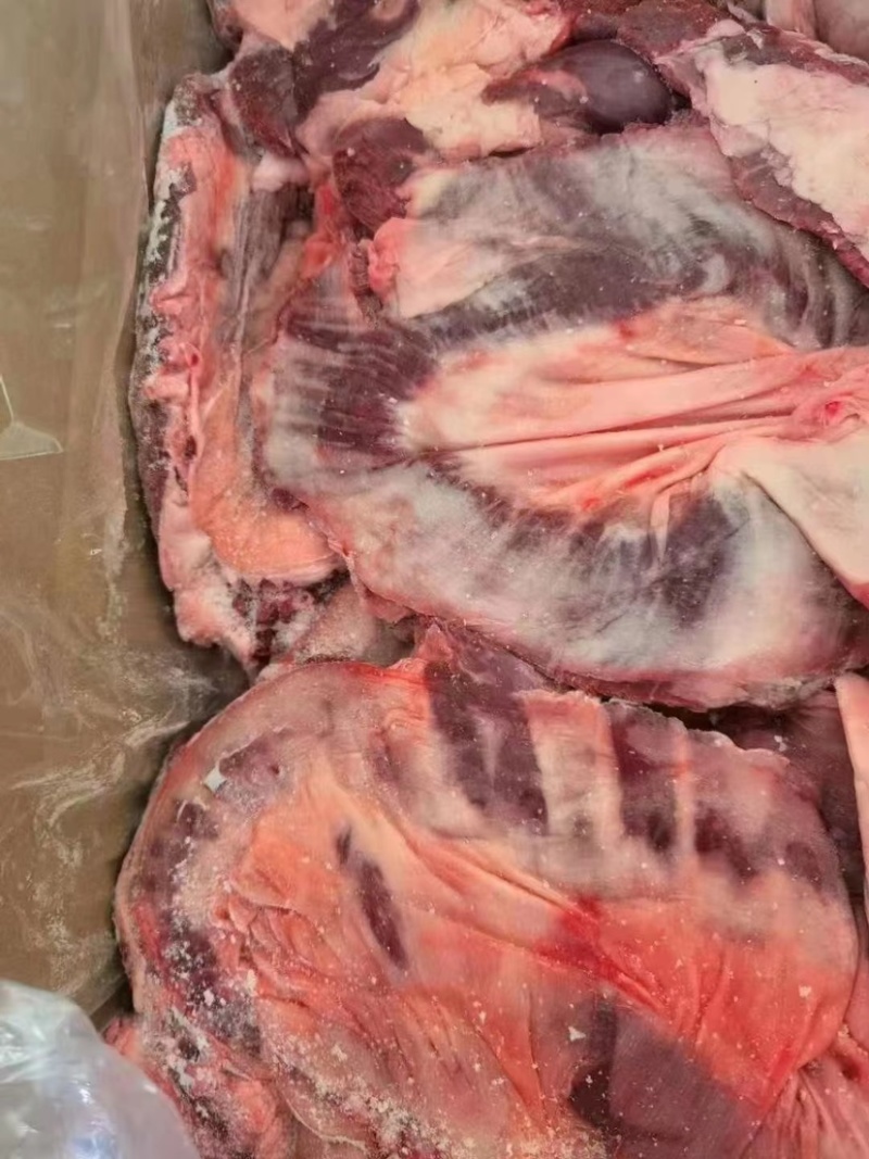 连肝肉基地直供品质保证全年供货