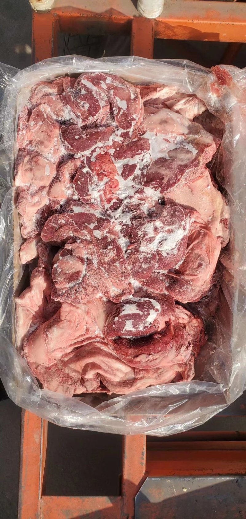 连肝肉基地直供品质保证全年供货
