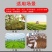 撒粪车拖拉机带撒肥机全自动大容量抛撒机