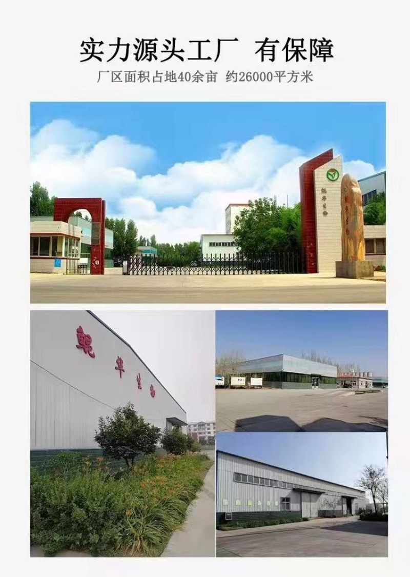 特级初榨橄榄油西班牙进口原油厂家直供可贴牌代加工