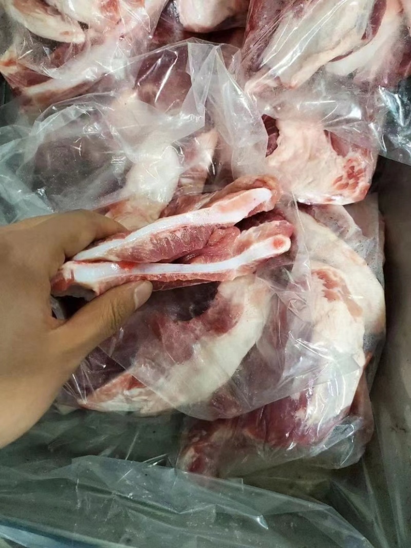 猪月牙骨厂家直发基地直供品质保证全年供货