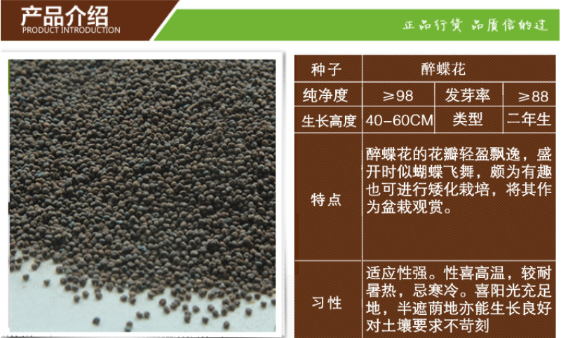 醉蝶花种子混色紫色粉色高杆四季易种活工程绿化园林景观