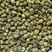 A普通水草石斛1.0公分规格颗粒属于水草石斛里便宜的