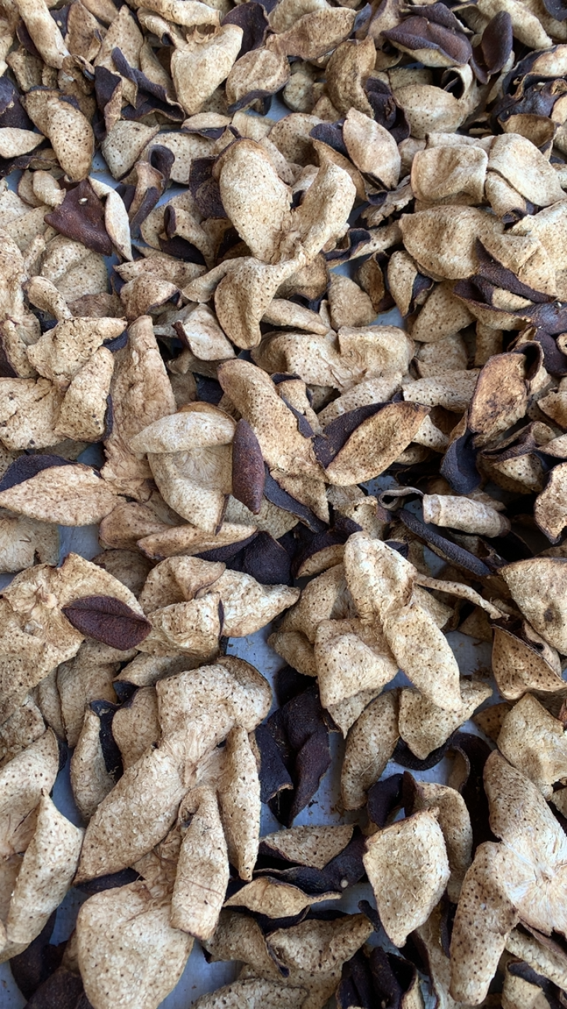 新会陈皮大量批发老陈皮陈皮干广东新会陈皮茶