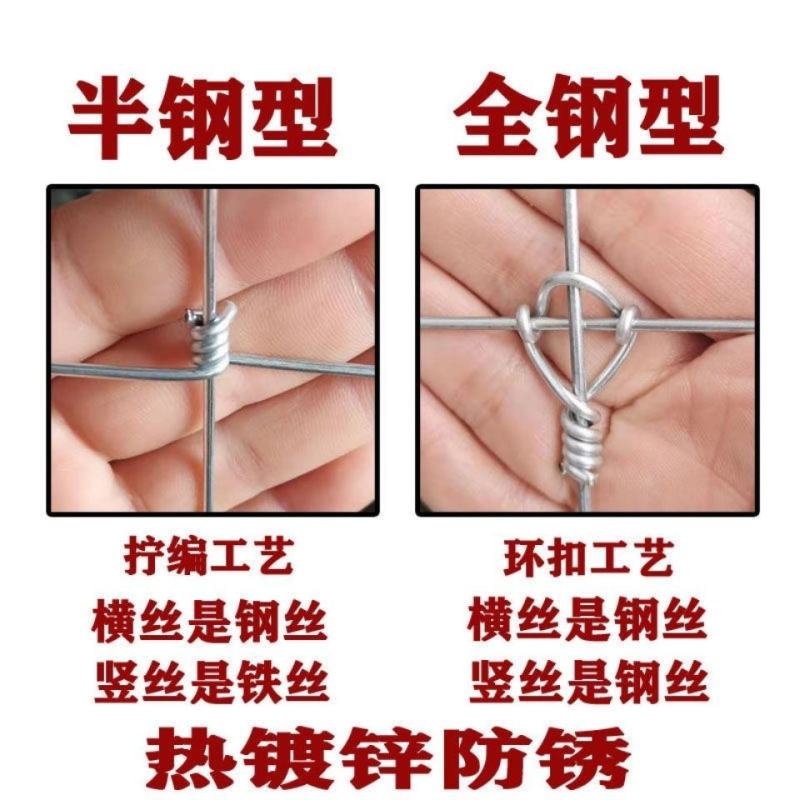 热镀锌铁丝网围栏牛栏网养殖防护网养牛养羊隔离网果园护栏网