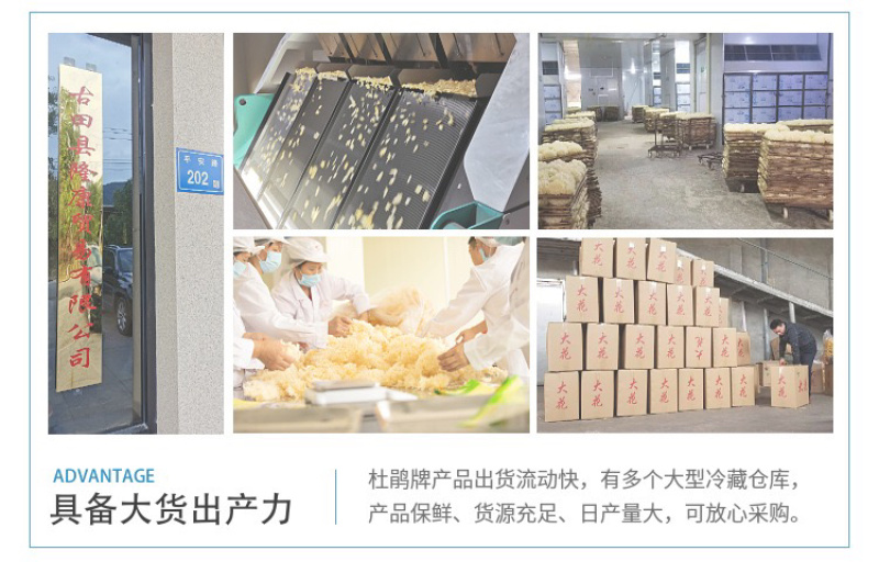 杜鹃古田竹荪新货500g肉厚粗柄本色长裙竹笙竹参