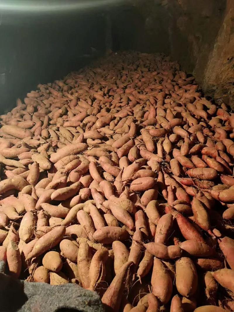 山东红薯手选好货，货源充足，产地直发，质量保证，全国发货