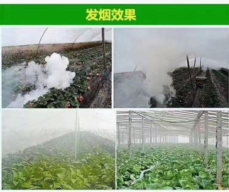 20%腐霉.百菌清烟雾弹。