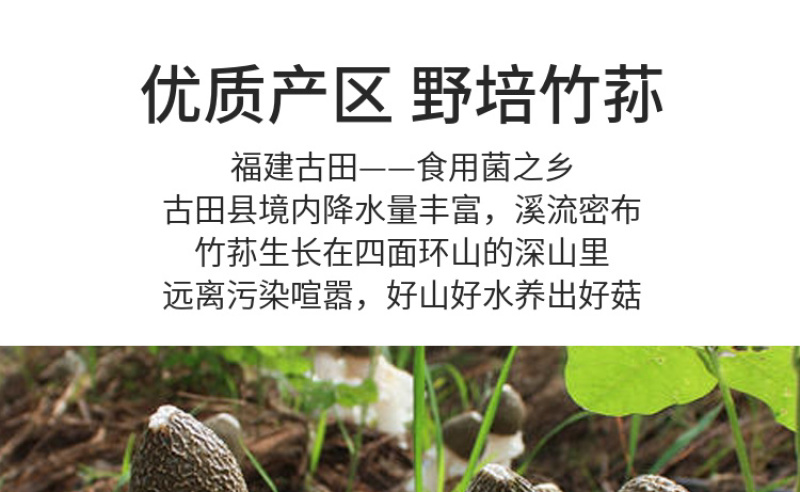 杜鹃古田无裙竹荪新货250g肉厚粗柄本色长裙竹笙竹参