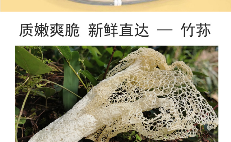 杜鹃古田无裙竹荪新货250g肉厚粗柄本色长裙竹笙竹参