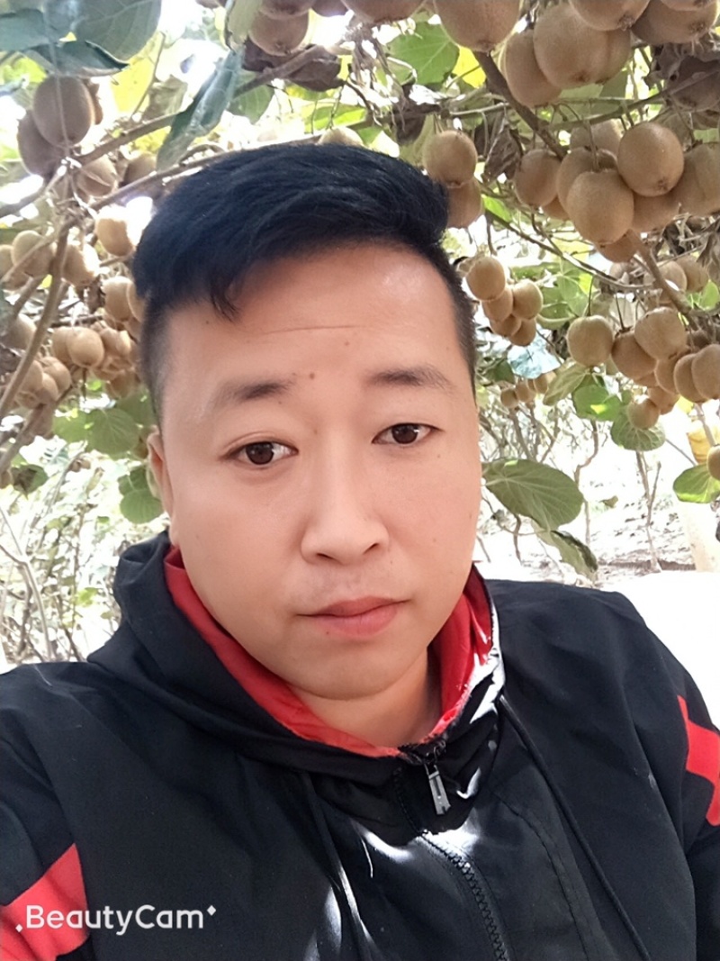 周至猕猴桃