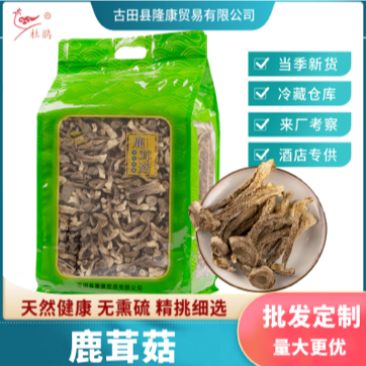 杜鹃福建鹿茸菇1500g松脆鲜嫩美味新货本色菌鹿茸菌