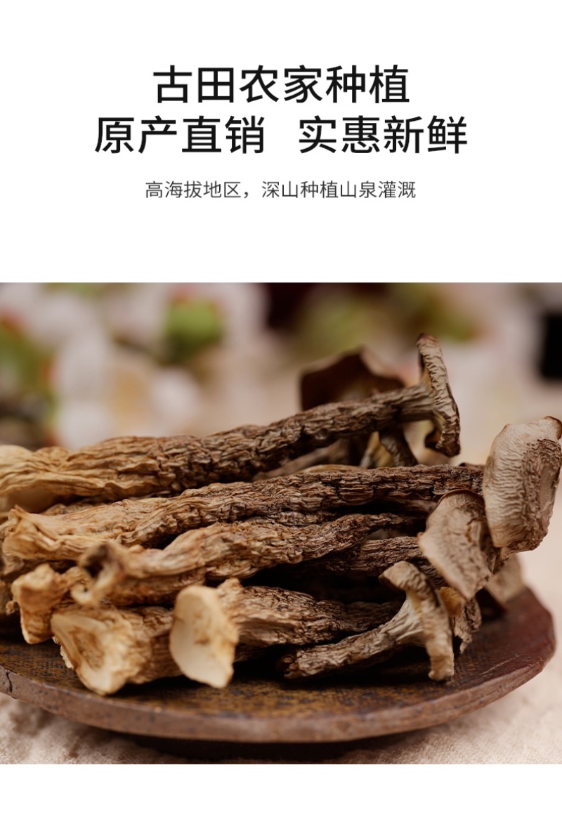 杜鹃福建鹿茸菇1500g松脆鲜嫩美味新货本色菌鹿茸菌