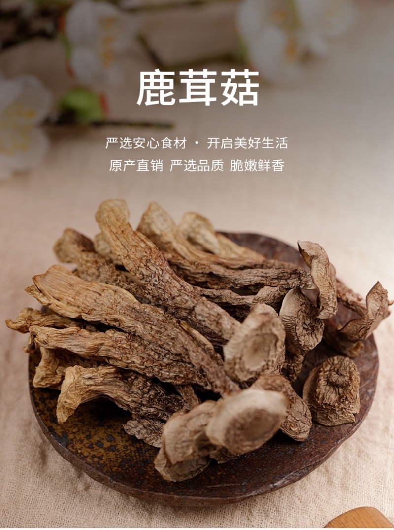 杜鹃福建鹿茸菇1500g松脆鲜嫩美味新货本色菌鹿茸菌