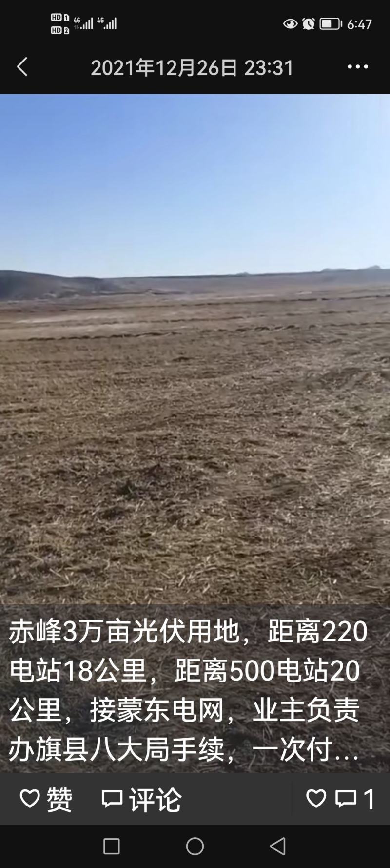 出租草平地7千亩可以种莲藕！