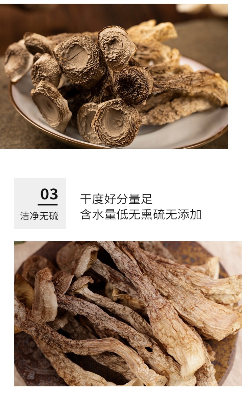 杜鹃鹿茸菇干货500/250克鲜甜可口香味浓郁本色鹿茸菌
