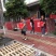 四川暖棚冬桃成都龙泉水蜜桃新鲜现摘批发视频看货好