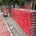 四川暖棚冬桃成都龙泉水蜜桃新鲜现摘批发视频看货好