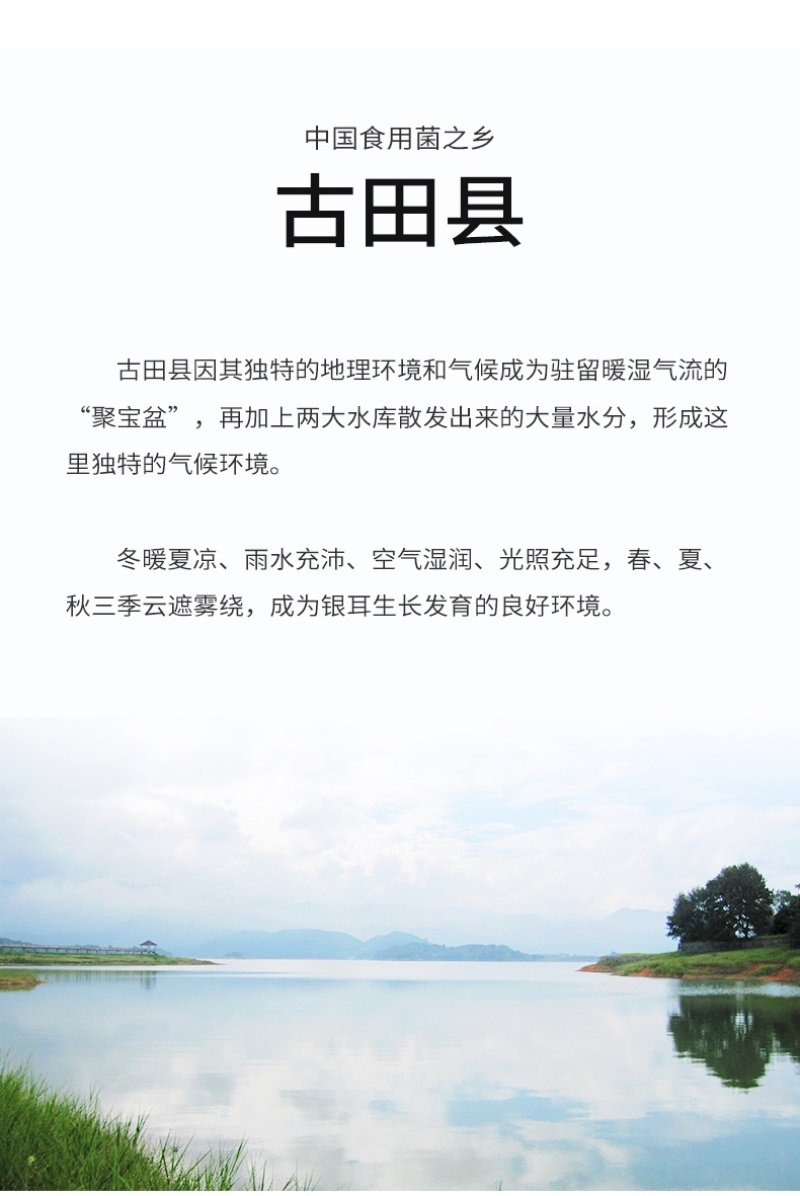 杜鹃古田猴头菇干货1500g新货食用菌去蒂猴菇猴头菌