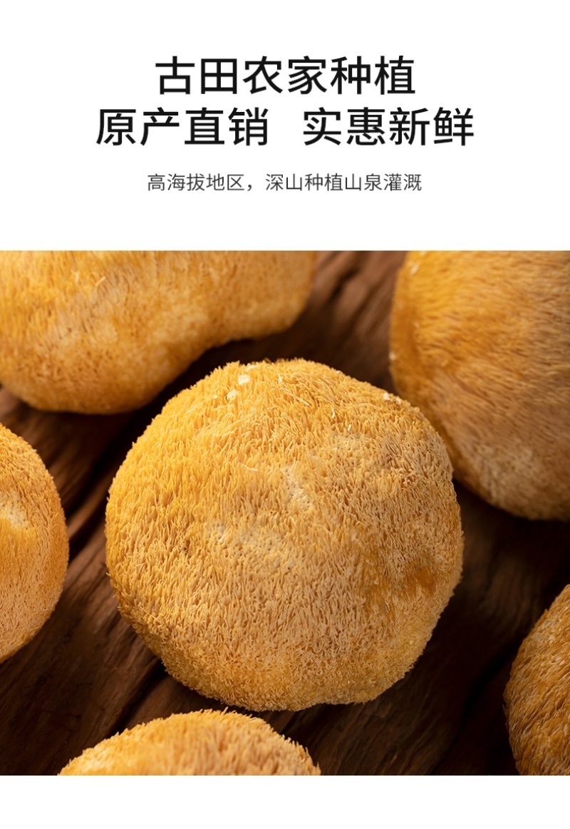 杜鹃古田猴头菇干货1500g新货食用菌去蒂猴菇猴头菌
