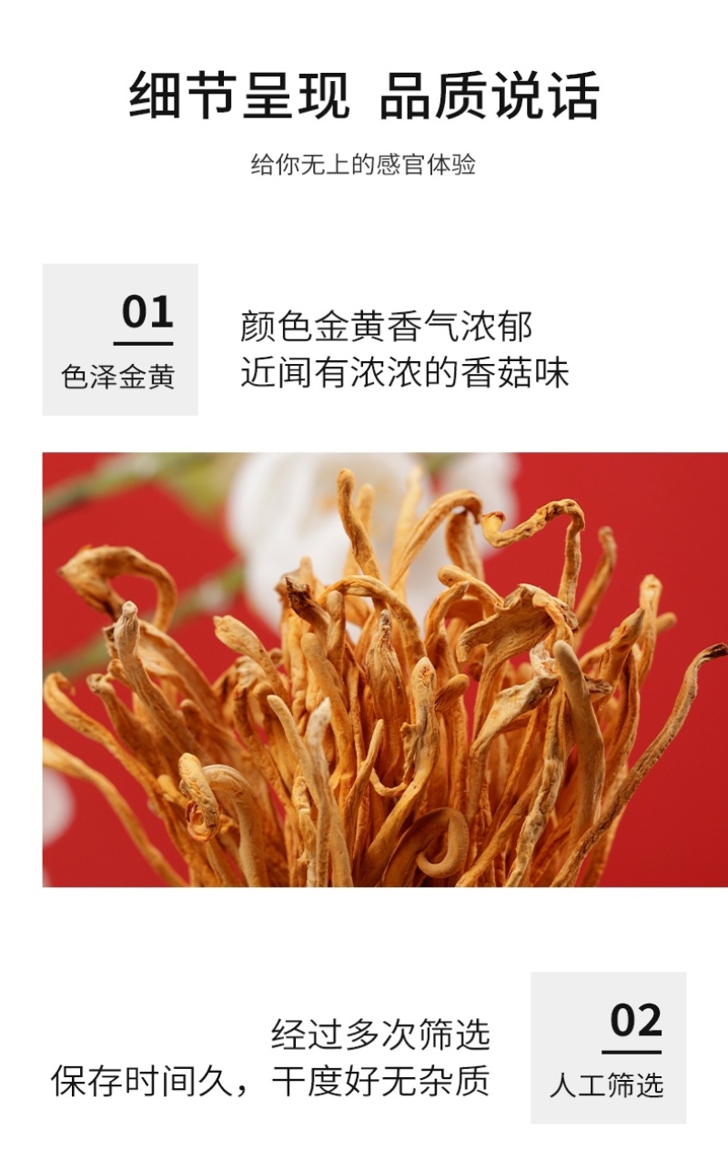 杜鹃虫草花2500g新货本色优质食材金黄小孢头北虫草