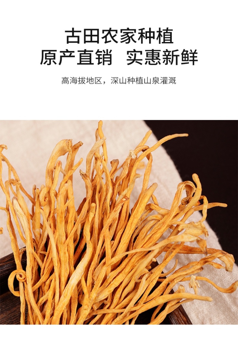 杜鹃虫草花2500g新货本色优质食材金黄小孢头北虫草