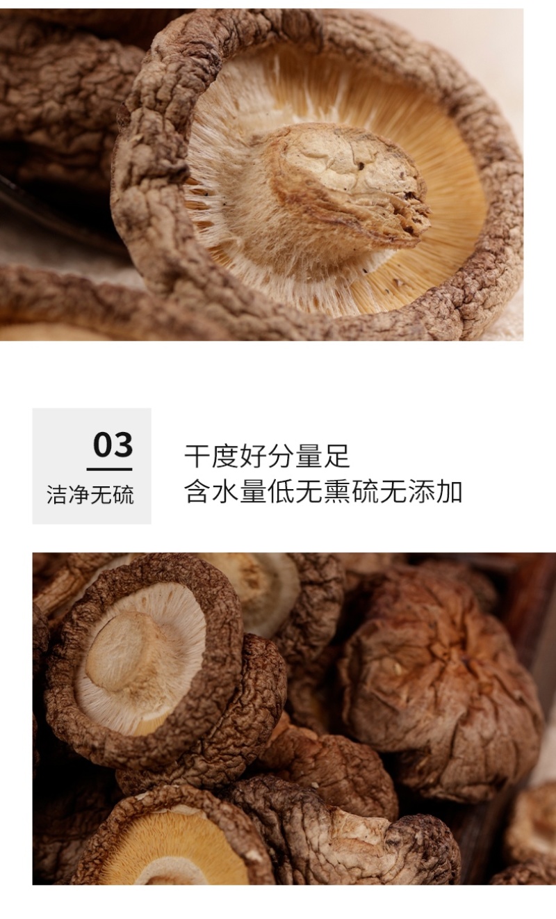 杜鹃福建香菇2kg菇香浓郁肉质厚人工精选剪脚金钱菇