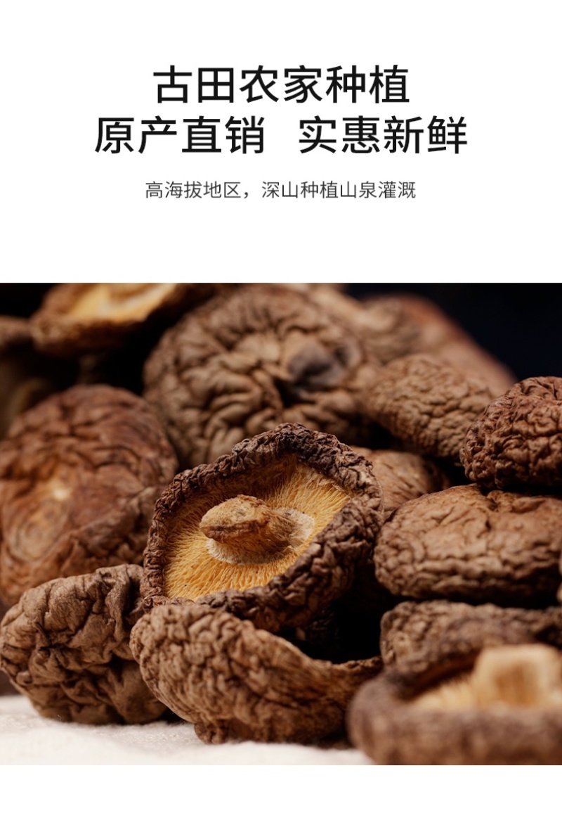 杜鹃福建香菇2kg菇香浓郁肉质厚人工精选剪脚金钱菇