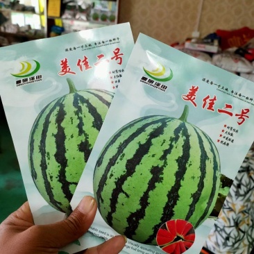 美佳二号西瓜种子抗病抗烈果肉大红瓤含糖高厂家对农假一赔十