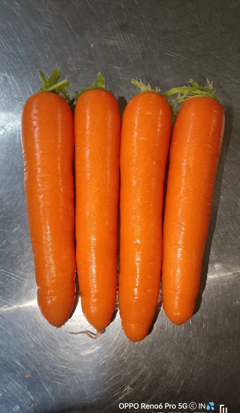 胡萝卜316精品三红