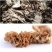 杜鹃灰树花切片干货1kg肉质脆嫩清香优质无碎干巴菌