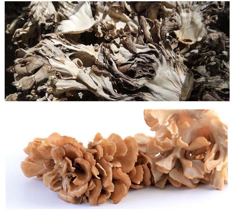 杜鹃灰树花切片干货1kg肉质脆嫩清香优质无碎干巴菌