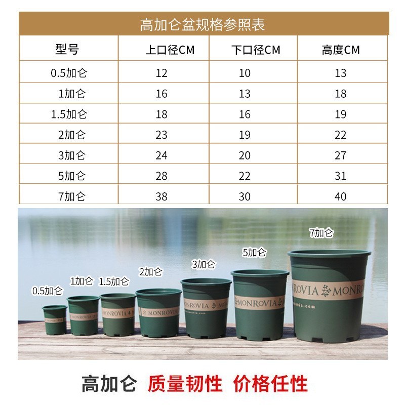加仑盆（包邮）